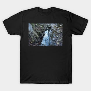 Watering Hole T-Shirt